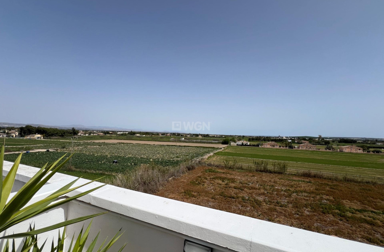 Resale - Apartment / flat - Dolores - Comunidad Valenciana