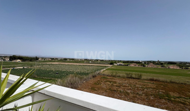 Resale - Apartment / flat - Dolores - Comunidad Valenciana