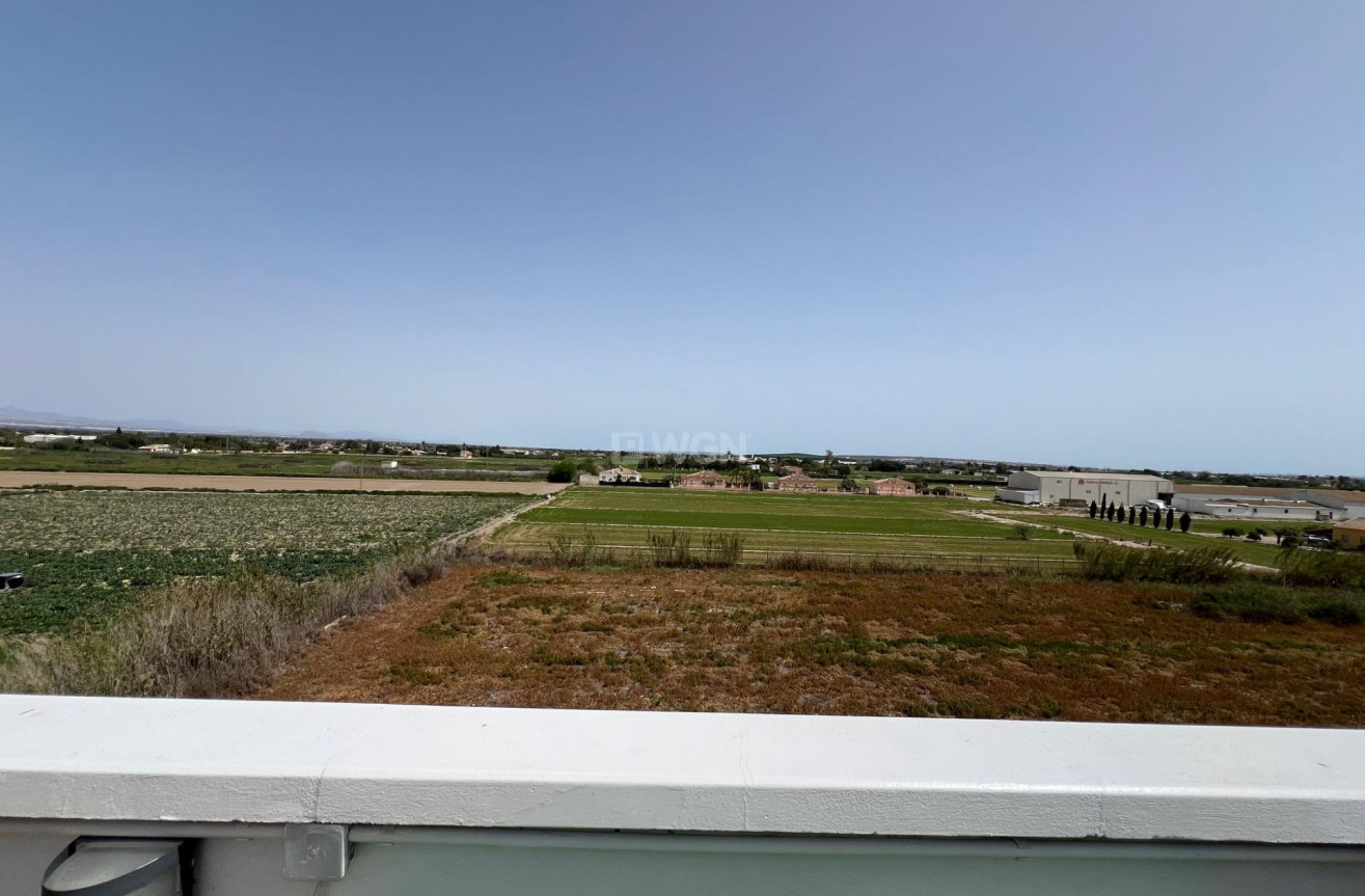 Resale - Apartment / flat - Dolores - Comunidad Valenciana