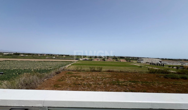 Resale - Apartment / flat - Dolores - Comunidad Valenciana