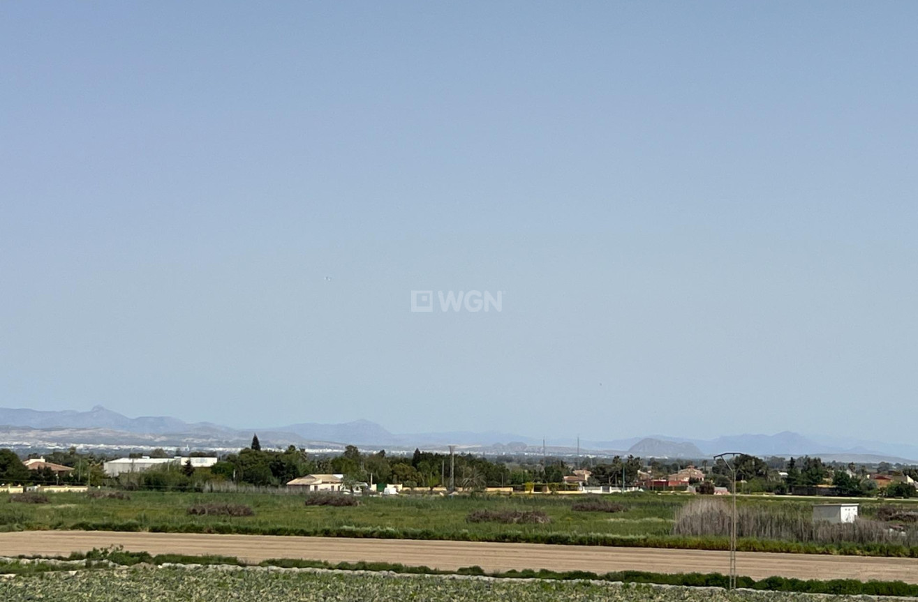 Resale - Apartment / flat - Dolores - Comunidad Valenciana