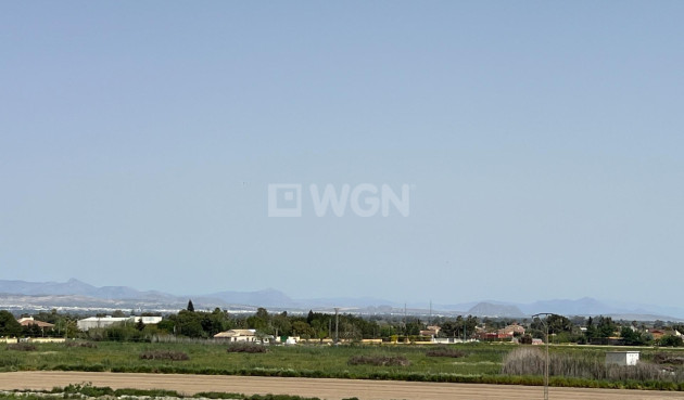 Resale - Apartment / flat - Dolores - Comunidad Valenciana