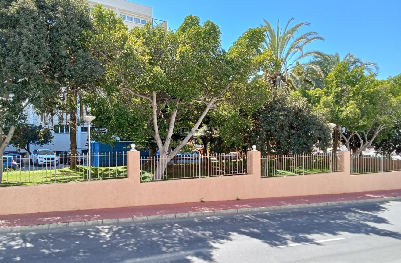 Odsprzedaż - Mieszkanie w bloku - Torrevieja - Estacion De Autobuses