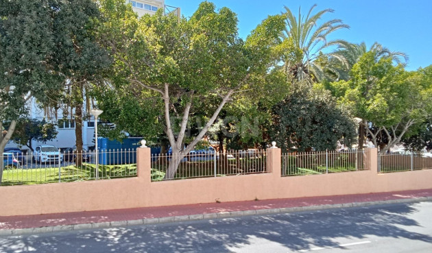 Odsprzedaż - Mieszkanie w bloku - Torrevieja - Estacion De Autobuses