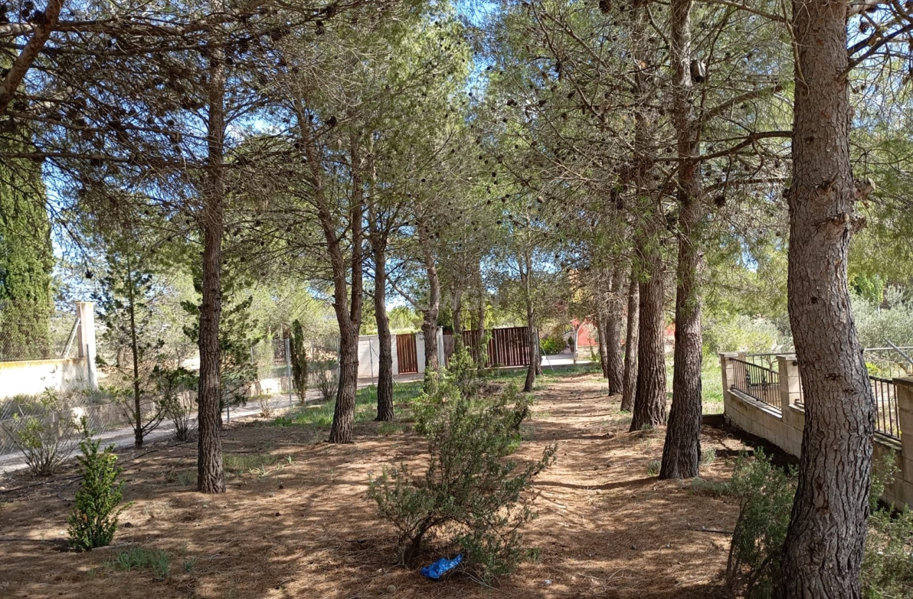 Odsprzedaż - Villa - Yecla - Inland