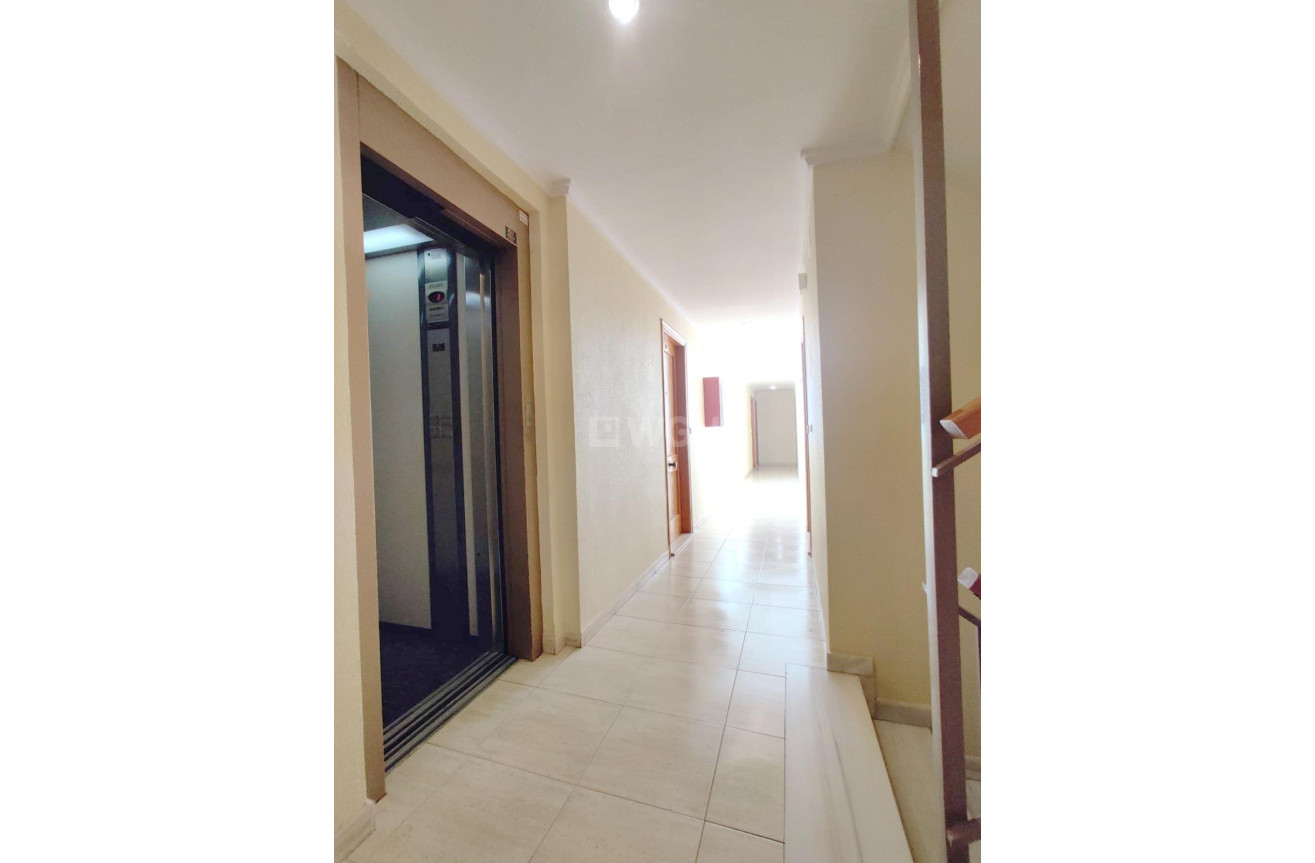 Resale - Penthouse - Torrevieja - Curva Del Palangre