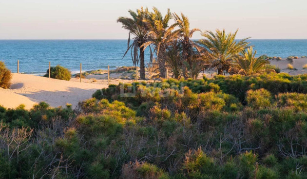 Nowy budynek - Mieszkanie w bloku - Guardamar del Segura - Avda del Puerto