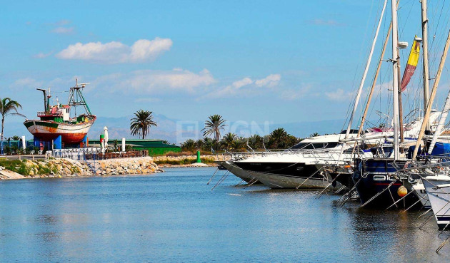 Nowy budynek - Mieszkanie w bloku - Guardamar del Segura - Avda del Puerto