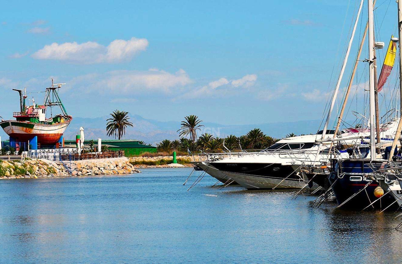 Nowy budynek - Daszek - Guardamar del Segura - Avda del Puerto