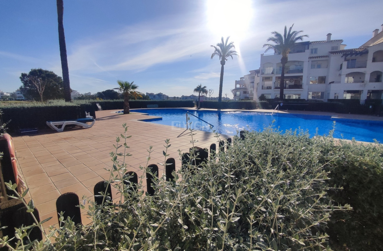 Wiederverkauf - Wohnung - Hacienda Riquelme Golf Resort - Inland