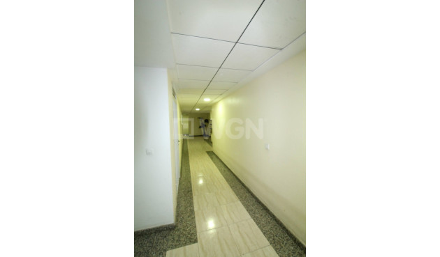 Wiederverkauf - Wohnung - Torrevieja - Centro