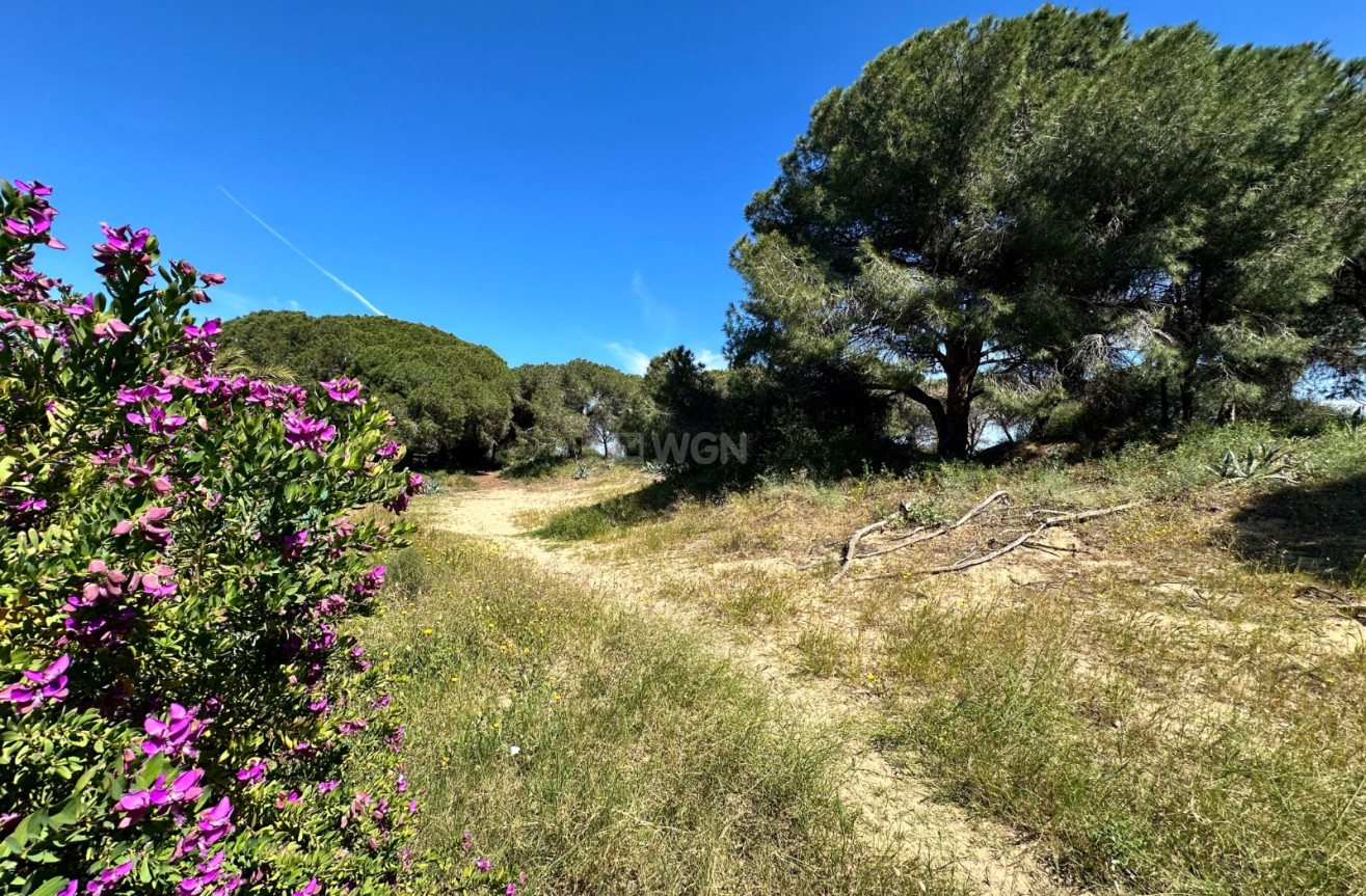 Wiederverkauf - Stadthaus - Guardamar del Segura - Costa Blanca