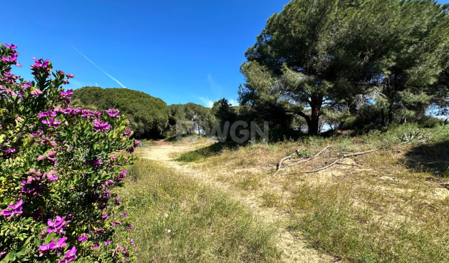 Wiederverkauf - Stadthaus - Guardamar del Segura - Costa Blanca