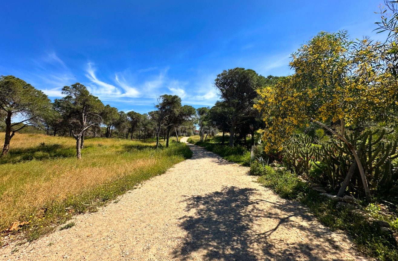 Wiederverkauf - Stadthaus - Guardamar del Segura - Costa Blanca