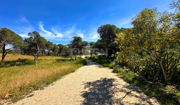 Wiederverkauf - Stadthaus - Guardamar del Segura - Costa Blanca