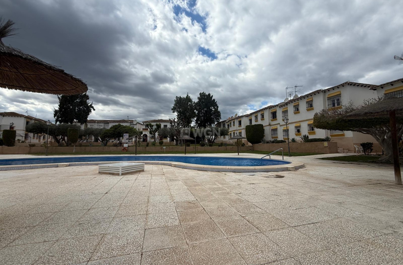 Wiederverkauf - Wohnung - San Miguel de Salinas - Campo de golf villamartin