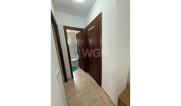 Wiederverkauf - Wohnung - San Miguel de Salinas - Campo de golf villamartin