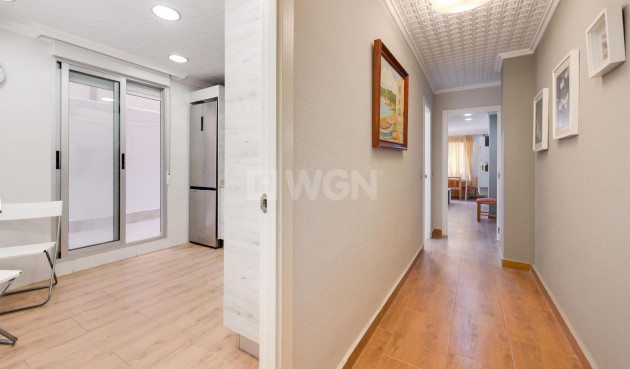 Odsprzedaż - Mieszkanie w bloku - Torrevieja - Acequion