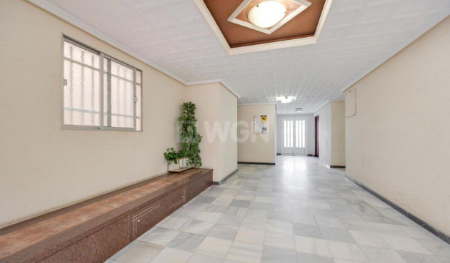 Odsprzedaż - Mieszkanie w bloku - Torrevieja - Acequion