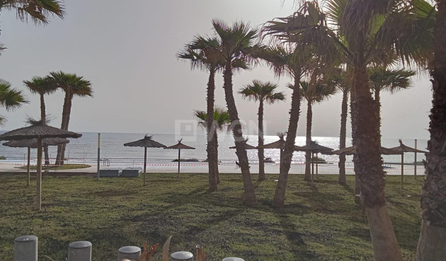 Odsprzedaż - Mieszkanie w bloku - Torrevieja - Punta Prima