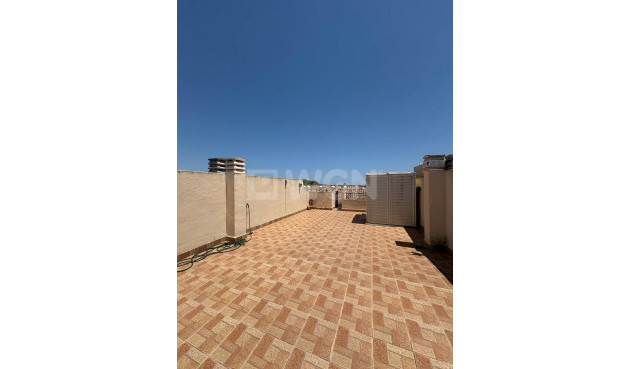 Reventa - Apartamento / piso - Lo Pepin - Inland