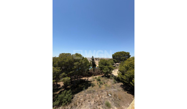 Reventa - Apartamento / piso - Lo Pepin - Inland