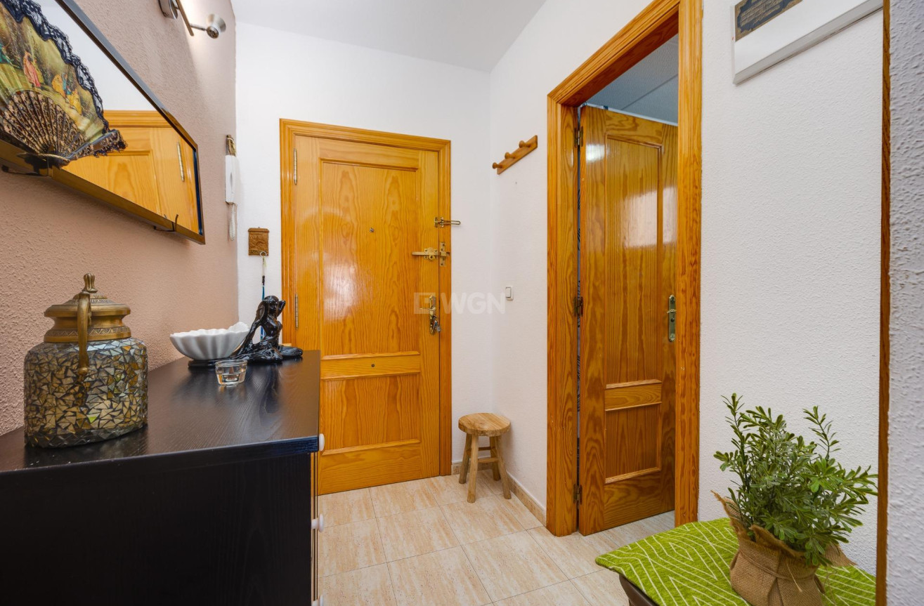 Wiederverkauf - Wohnung - Torrevieja - Estacion De Autobuses