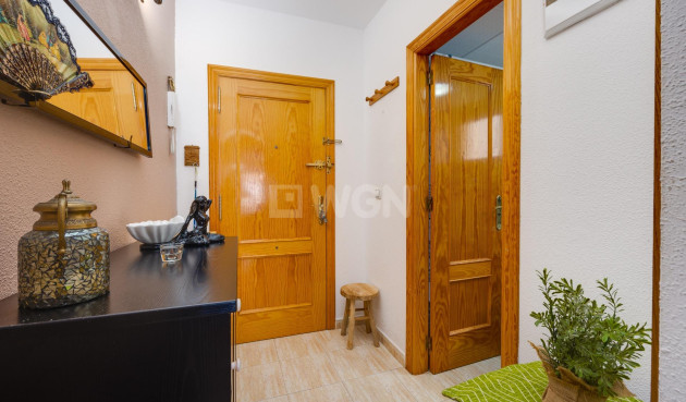 Wiederverkauf - Wohnung - Torrevieja - Estacion De Autobuses