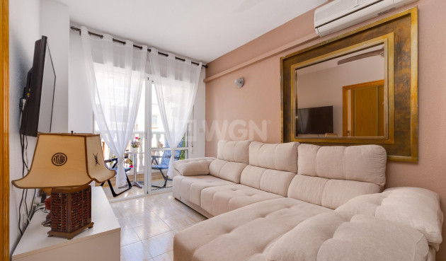 Wiederverkauf - Wohnung - Torrevieja - Estacion De Autobuses