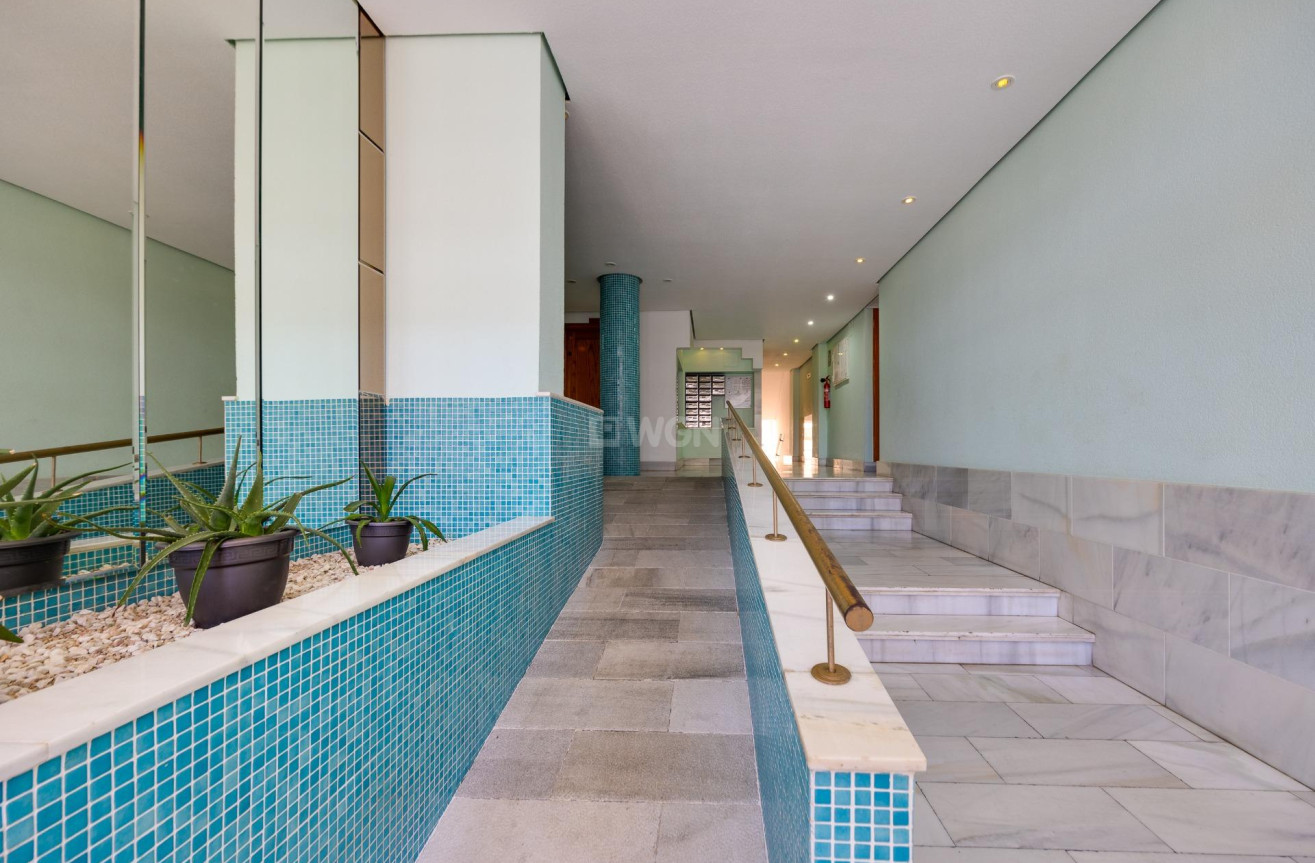 Wiederverkauf - Wohnung - Torrevieja - Estacion De Autobuses