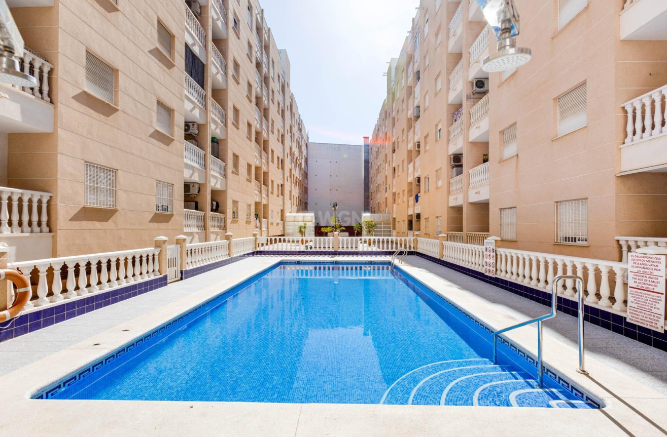 Wiederverkauf - Wohnung - Torrevieja - Estacion De Autobuses