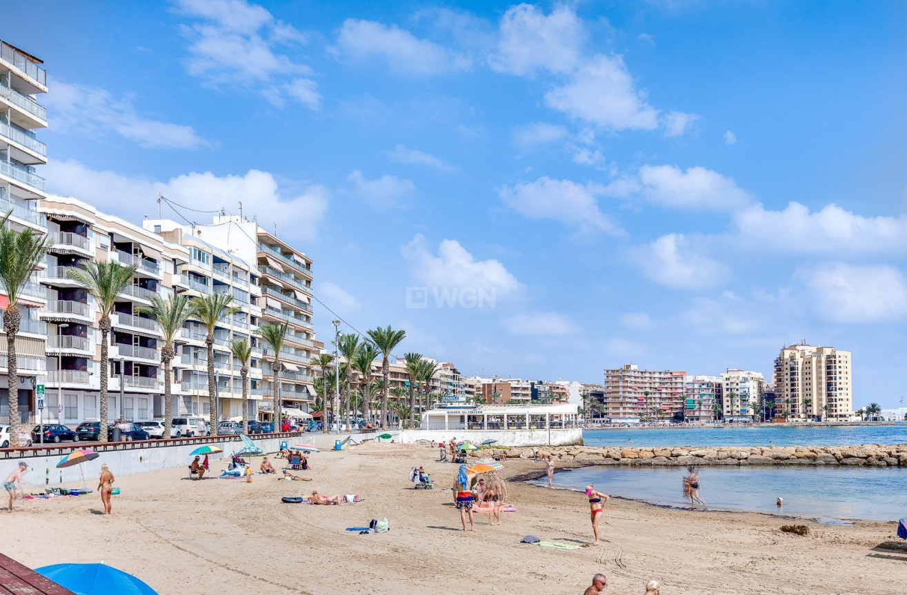 Wiederverkauf - Wohnung - Torrevieja - Estacion De Autobuses