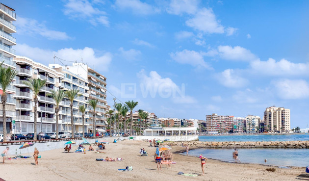 Wiederverkauf - Wohnung - Torrevieja - Estacion De Autobuses