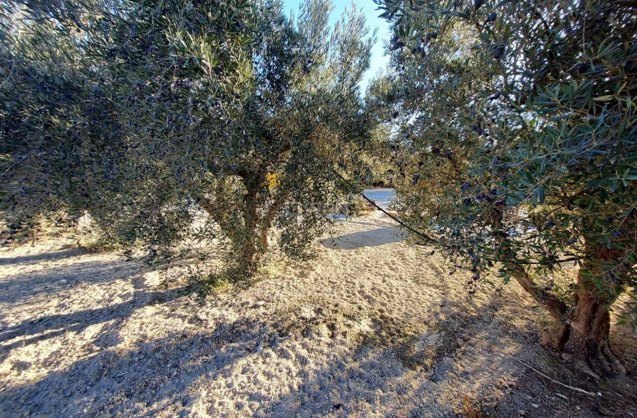 Odsprzedaż - Villa - Murcia - Inland