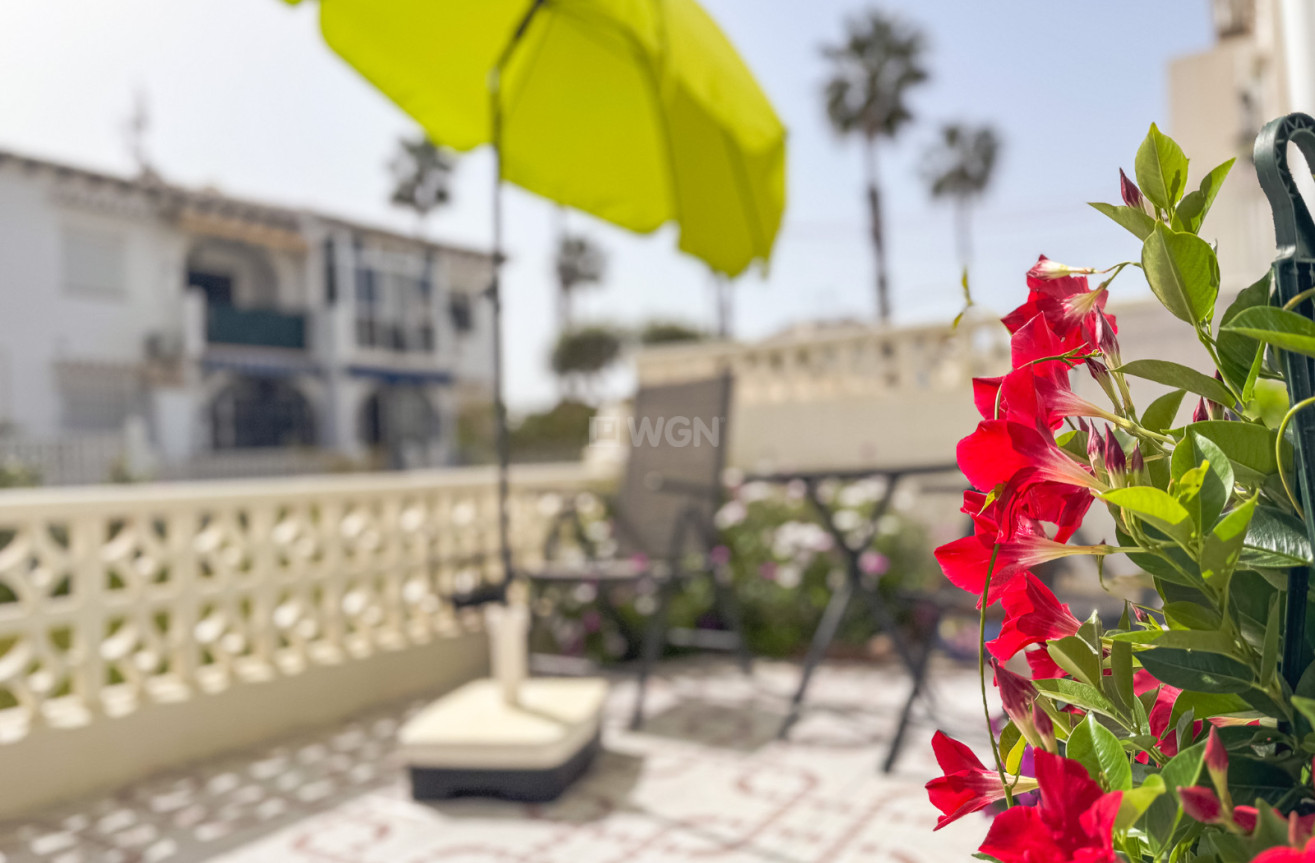 Reventa - Bungalow - Torrevieja - Costa Blanca