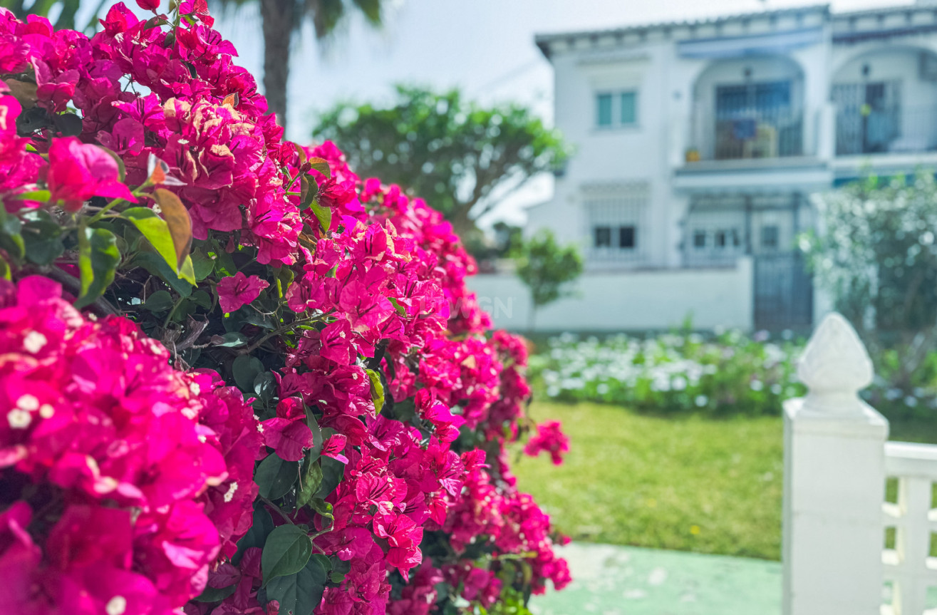 Reventa - Bungalow - Torrevieja - Costa Blanca