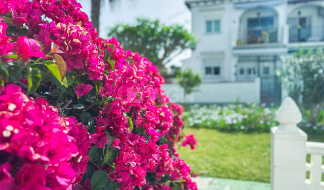 Reventa - Bungalow - Torrevieja - Costa Blanca