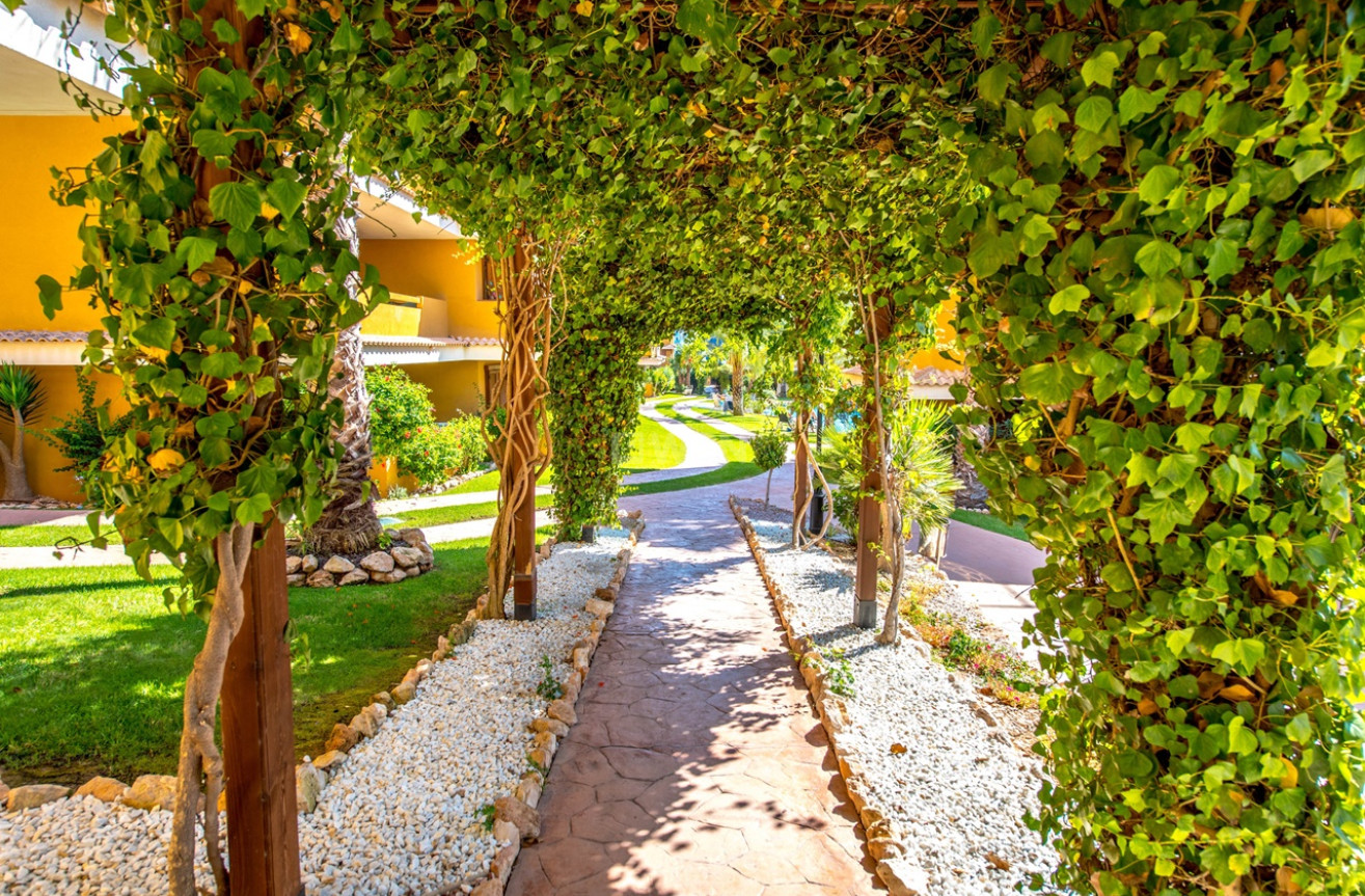 Wiederverkauf - Wohnung - Torrevieja - Costa Blanca