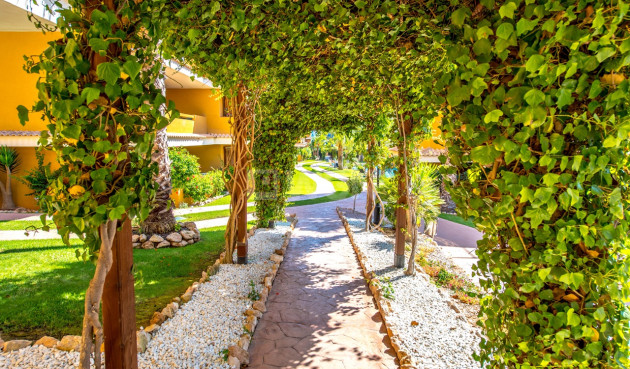 Wiederverkauf - Wohnung - Torrevieja - Costa Blanca