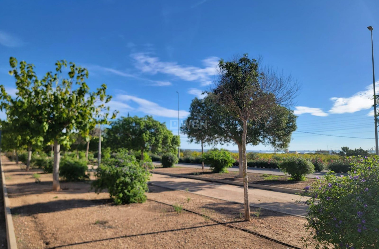 Odsprzedaż - Kamienica - Los Montesinos - Los Montesinos - Urb. La Herrada