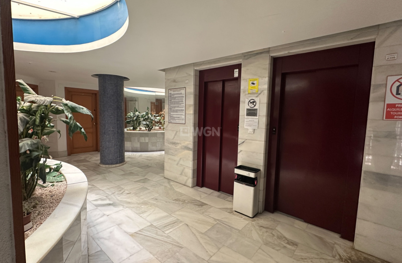 Odsprzedaż - Mieszkanie w bloku - Torrevieja - Costa Blanca