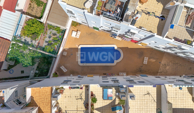 Wiederverkauf - Wohnung - Torrevieja - Costa Blanca