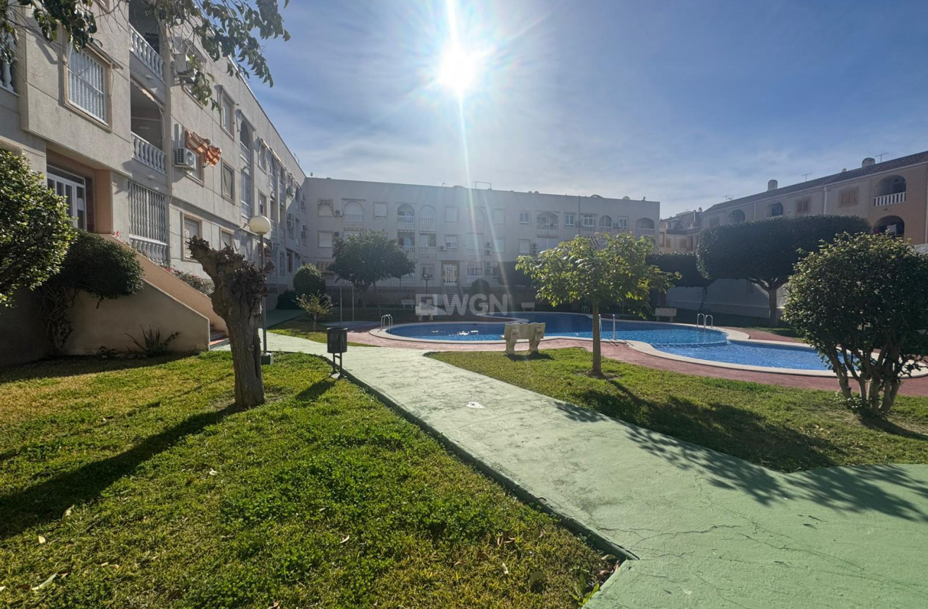 Resale - Apartment / flat - Torrevieja - Costa Blanca