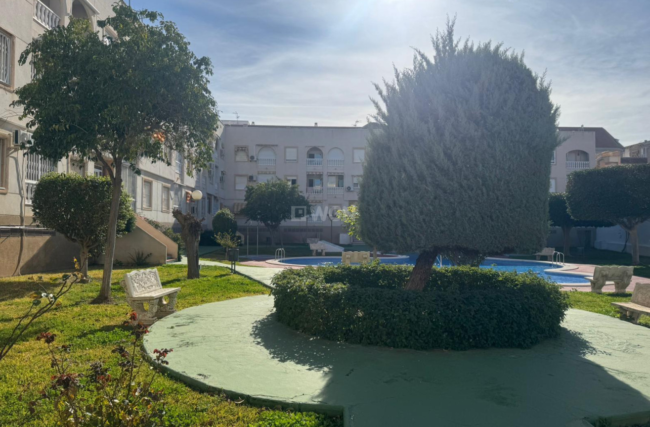 Resale - Apartment / flat - Torrevieja - Costa Blanca