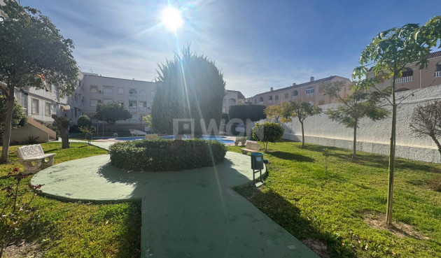 Resale - Apartment / flat - Torrevieja - Costa Blanca