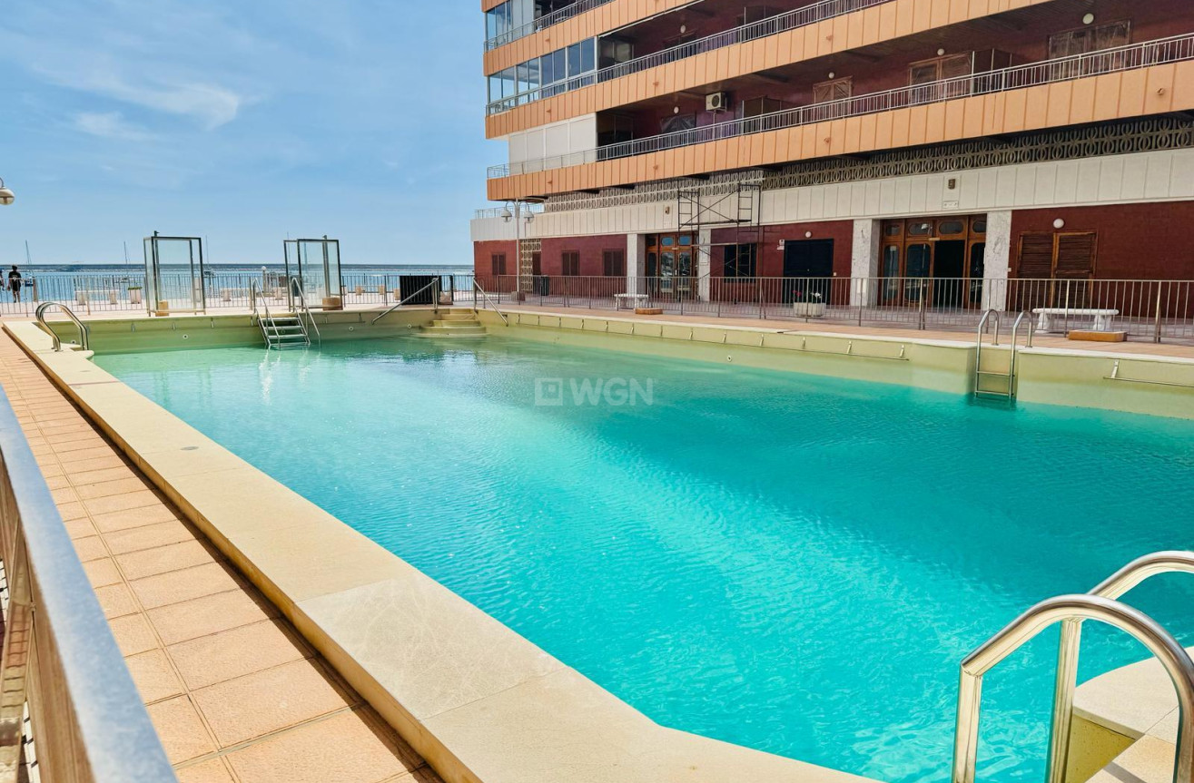Odsprzedaż - Mieszkanie w bloku - Torrevieja - Costa Blanca