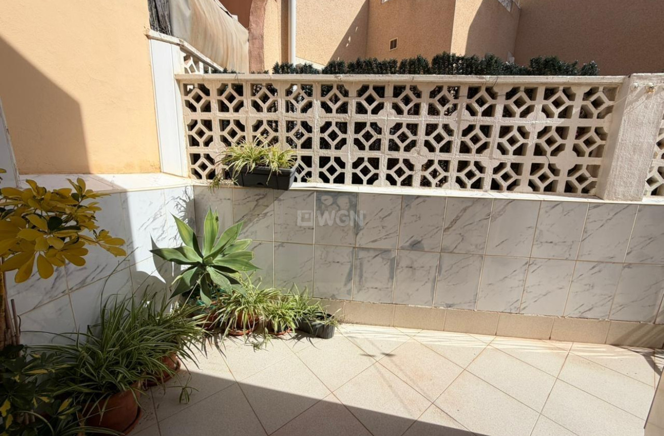 Odsprzedaż - Kamienica - Torrevieja - Los Frutales