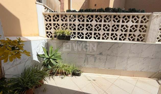 Odsprzedaż - Kamienica - Torrevieja - Los Frutales