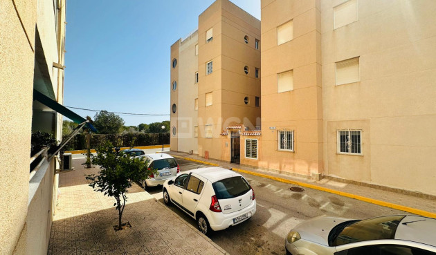 Odsprzedaż - Mieszkanie w bloku - Torrevieja - Costa Blanca