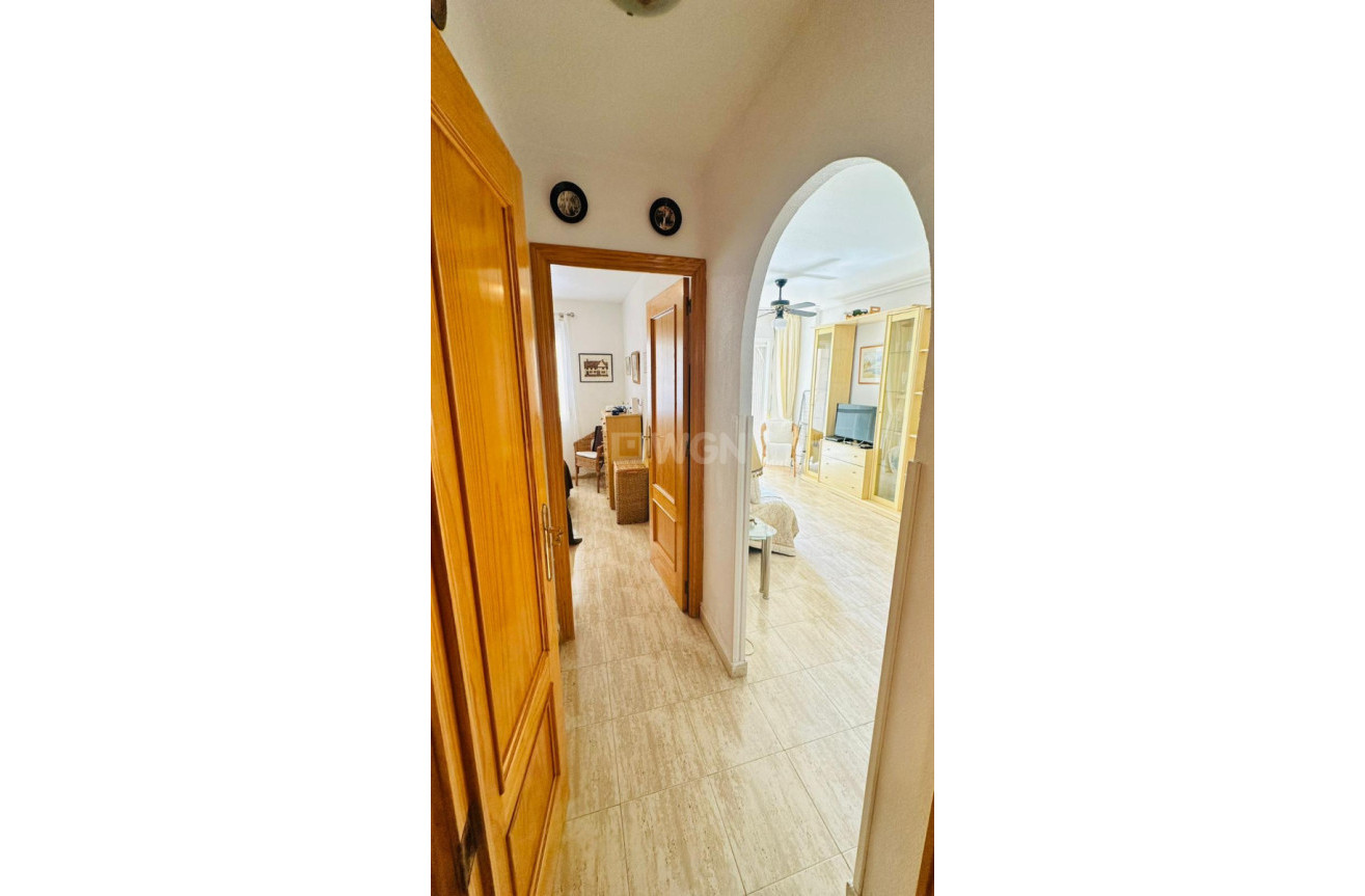 Odsprzedaż - Mieszkanie w bloku - Torrevieja - Costa Blanca